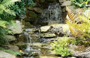 The RHS Malvern Spring Show