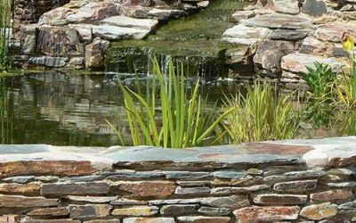 New pond and folly project