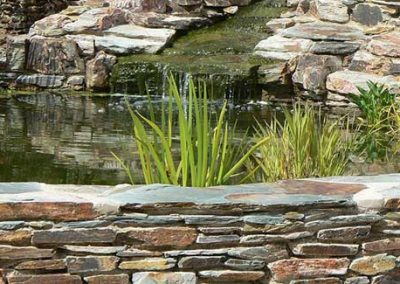 New pond and folly project